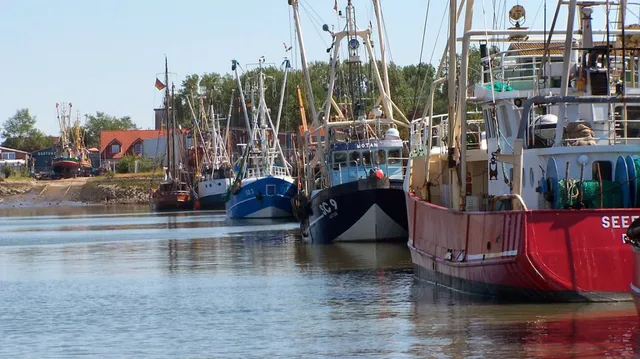 Ferienwohnung Bisschen schicker, Büsum, Nordsee, Schleswig-Holstein,