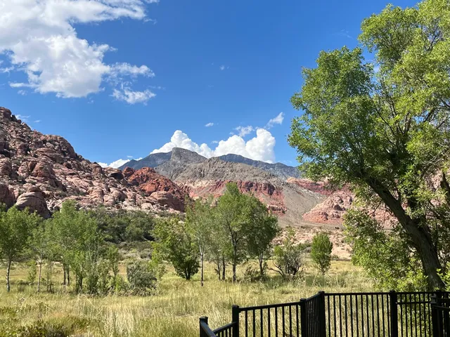 Red Spring: A Desert Oasis