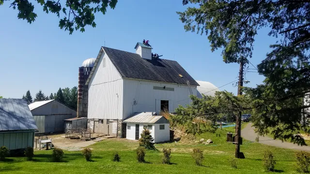 Whippletree Family Farm