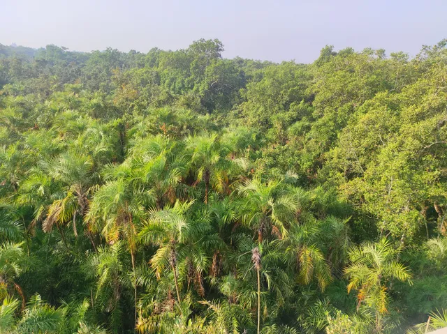 Karamjal Watch Tower, Khulna