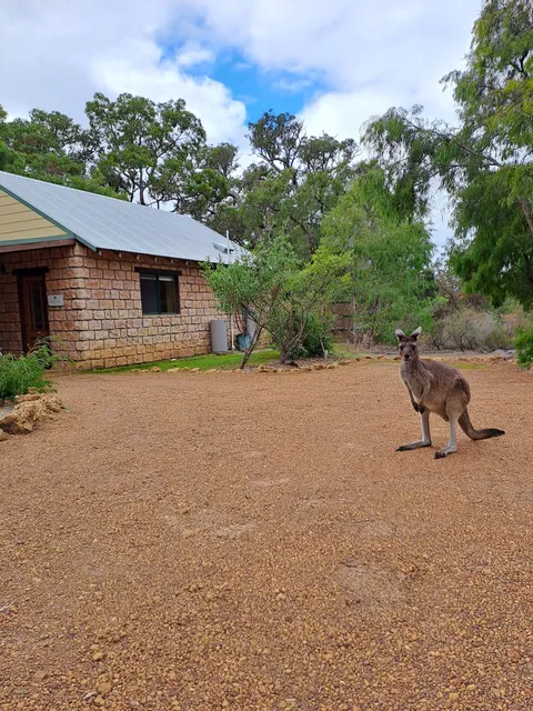 Yelverton Brook Conservation Sanctuary