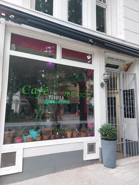 Café Mexico - Tequila Restaurant