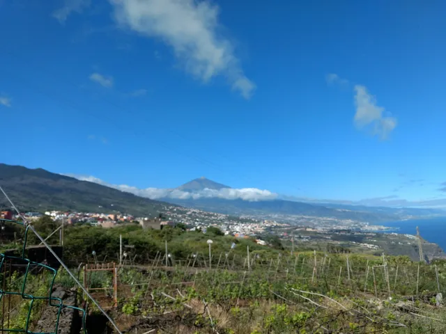 Finca Angelus
