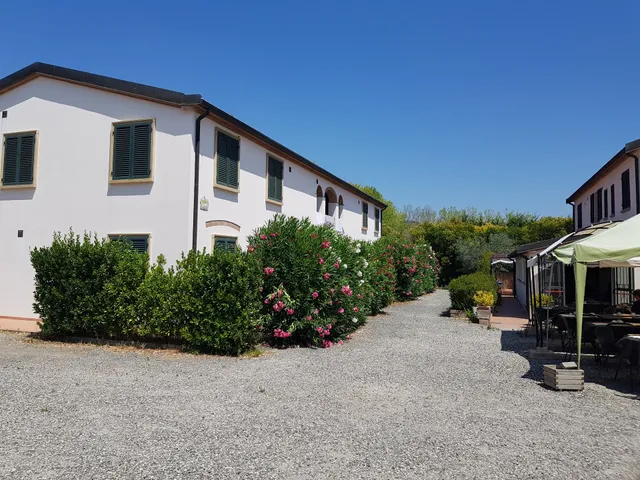 Fattoria la Steccaia