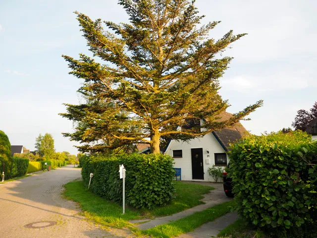 Ferienhäuser Heußner