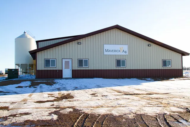 Maverick Ag - Ashley