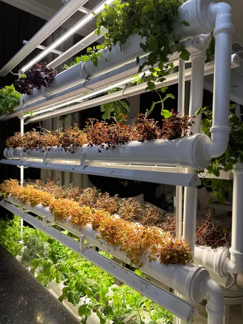 Chef.Tenishev’s Restaurant