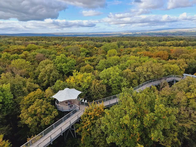 Nationalpark Hainich