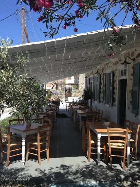 Le Perroquet Tranquille