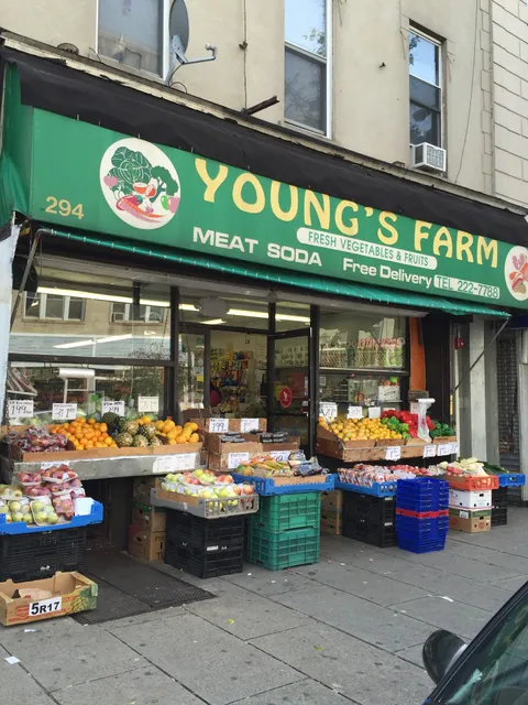Young's Farm Inc