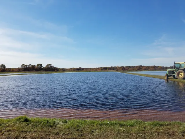 Glacial Lake Cranberries