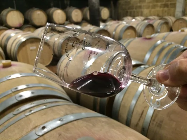 Kanpai Tours - Wine Tours, Wine-tastings, Private tours Lyon, Lyon private guide