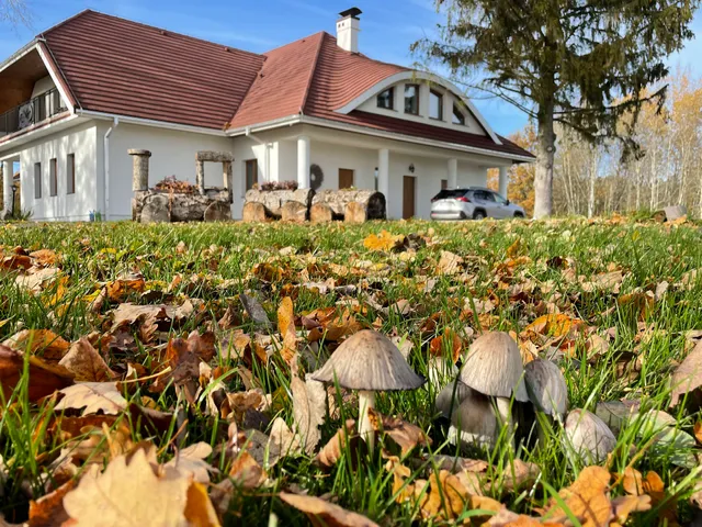 Ataraxia Ględy - The Mini Mansion in Mazuria