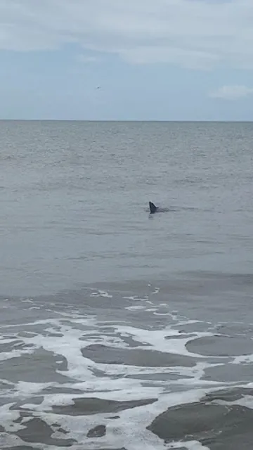 Light house base cape san blas