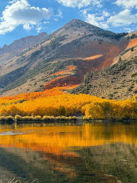 North Lake on Highway 395 Has Peaked!! 🍁🚗💨