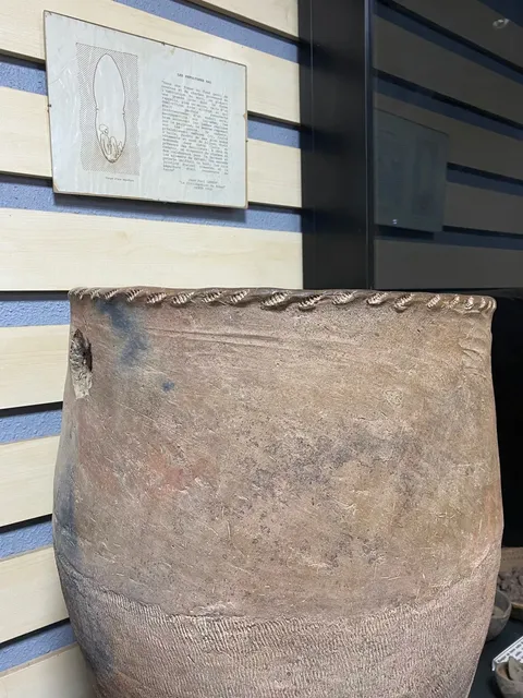 🇹🇭 "We Are All Africans" – A Revelation at Chad's National Museum 🏛