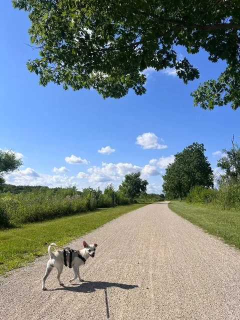 ​​Easy Hiking Near Chicago: Des Plaines River Trail 🌳🚶‍♀️​​