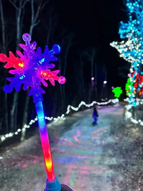 🎄🦁 Assiniboine Zoo Lights: A Magical Winter Wonderland!