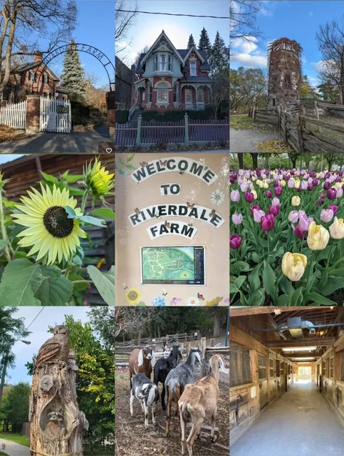 🇨🇦 ​​Riverdale Park & Farm - Toronto's Free Outdoor Paradise​​ 🌳🐄