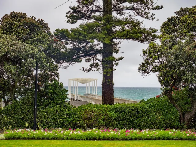 🎩 Art Deco Journey | Napier, North Island NZ 🚗