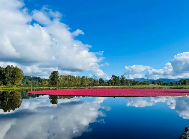 Red Heart!!The Warrens Cranberry Festival 