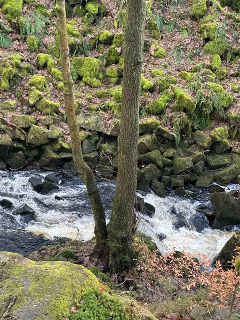 Grindleford: A Hidden Gem for Hiking Near Sheffield 🌿🥾