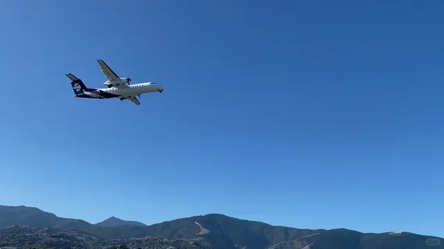 ✈️ Hidden Gem Alert! Nelson Airport Perimeter Track 🌿