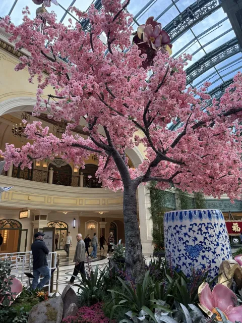 Themed Gardens – A Visual Feast for the Senses! 