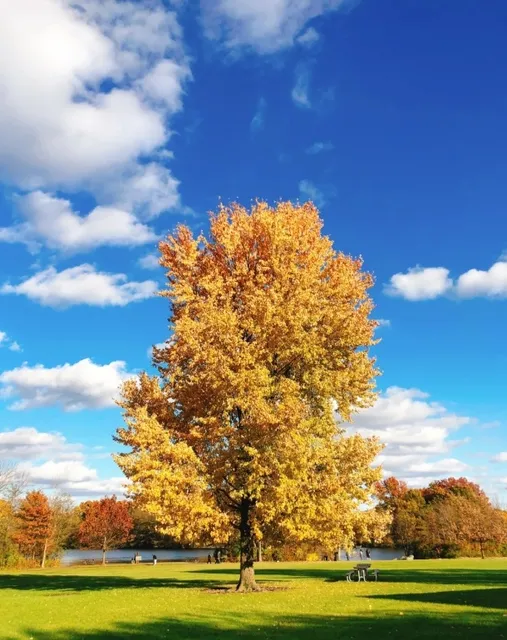 Ohio | Nature Parks in Columbus