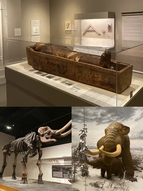 Albany NY🗽 | Must-Visit Museums