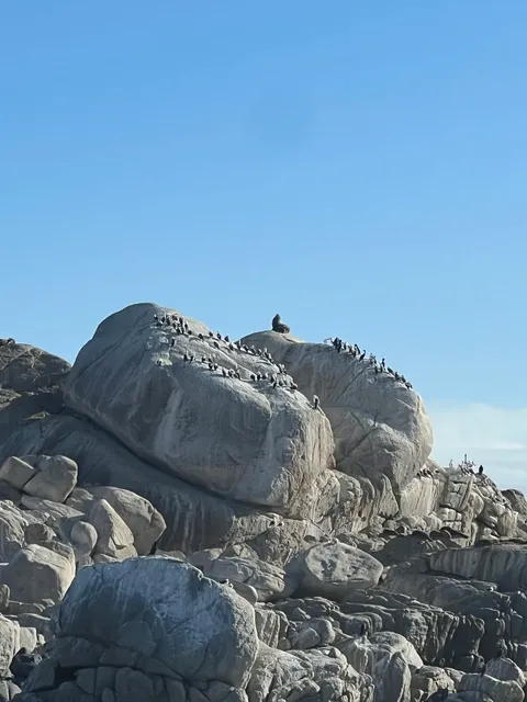 🇨🇱 Chile | Coastal Citywalk in Valparaíso