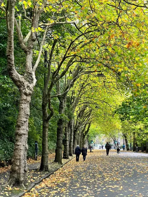  Glasgow, Scotland | Where Every Street Tells a Story ！🌆✨