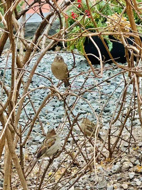 Boston | 3-Day Travel Guide