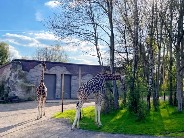 London Chessington Theme Park 🎢🐘