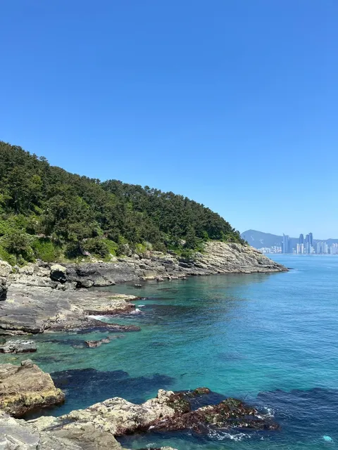 Busan Hidden Gem: A  Coastal Hiking Trail