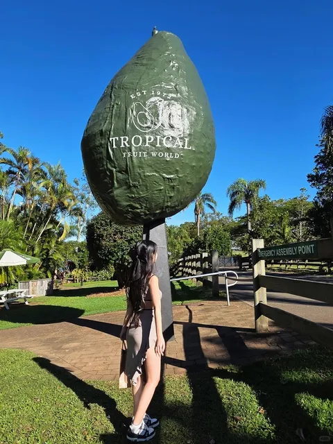 🇦🇺 Tropical Fruit World: Brisbane’s Juicy Day-Trip Paradise! 🥭🍍