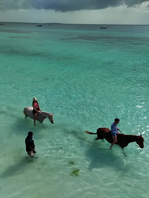 🌊 Zanzibar's Hidden Gem: Nungwi Beach
