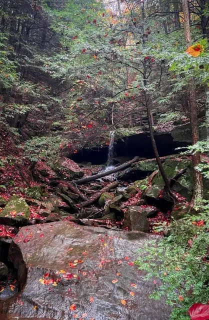  A Picturesque Escape into Gorge & Gristmill History