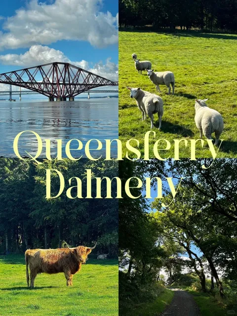  Spotting Sheep & Highland Cows Under the Forth Bridge 🫧🐑🐂​​