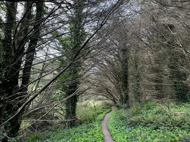 San Bruno Mountain State Park 🌿🌄