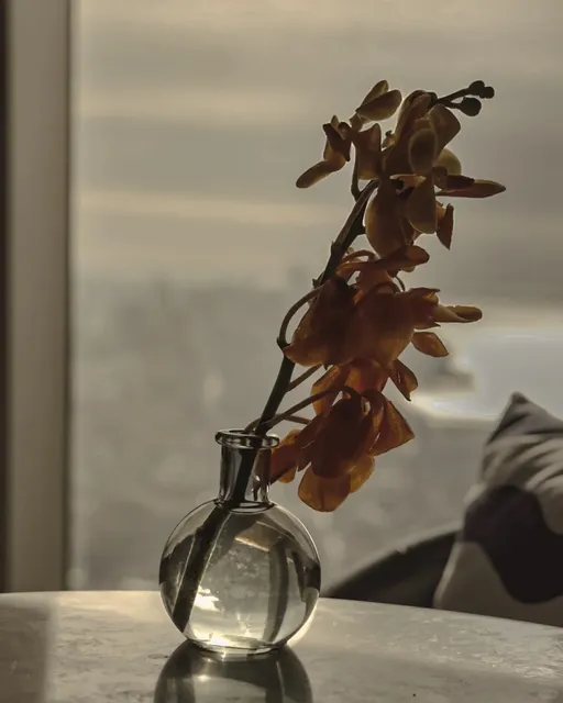 West Side NYC | PEAK NYC | The Panoramic View on the 101st Floor 🌇