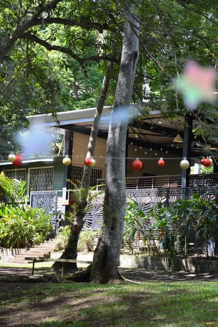 🇵🇬 Port Moresby’s Hidden Oasis: J’s Café Weekend Escape