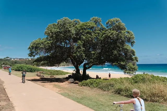 Hawaii Island Guide: How to Choose Your Perfect Island