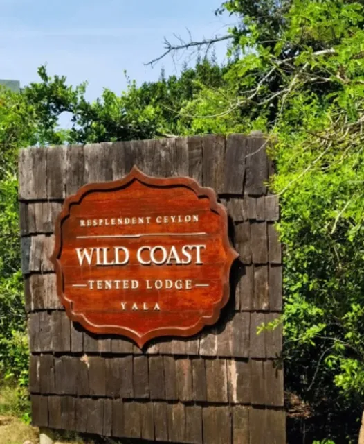 ​​No Regrets! 🇱🇰 Stay at These 3 Luxury Hotels in Sri Lanka 🏨​​