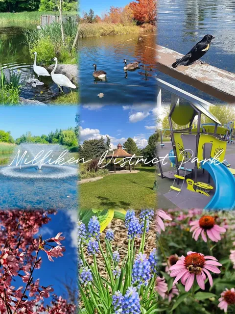 Milliken Park: Scarborough's Hidden Oasis + Ultimate Guide🌳✨