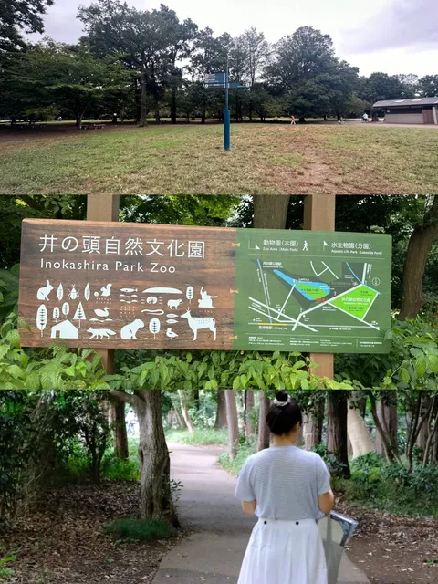  🌳 Kichijoji & Hayao Miyazaki 🌳