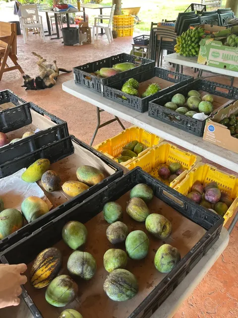 🏖️ Miami’s South Coast I｜A Slow Beach Escape, Summer’s Sanctuary