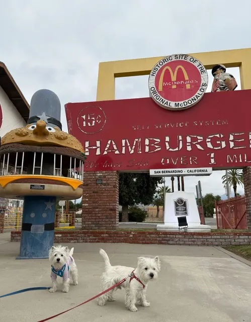 The Golden Arches Near LA That Don’t Sell Burgers! 🐾🍟