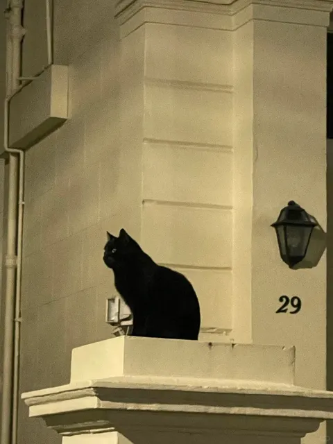 London: Where Magic Feels Almost Normal！！！🧙