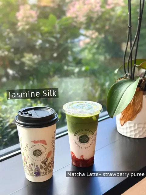 🇺🇸 Seattle | Review of New Bubble Tea Spot